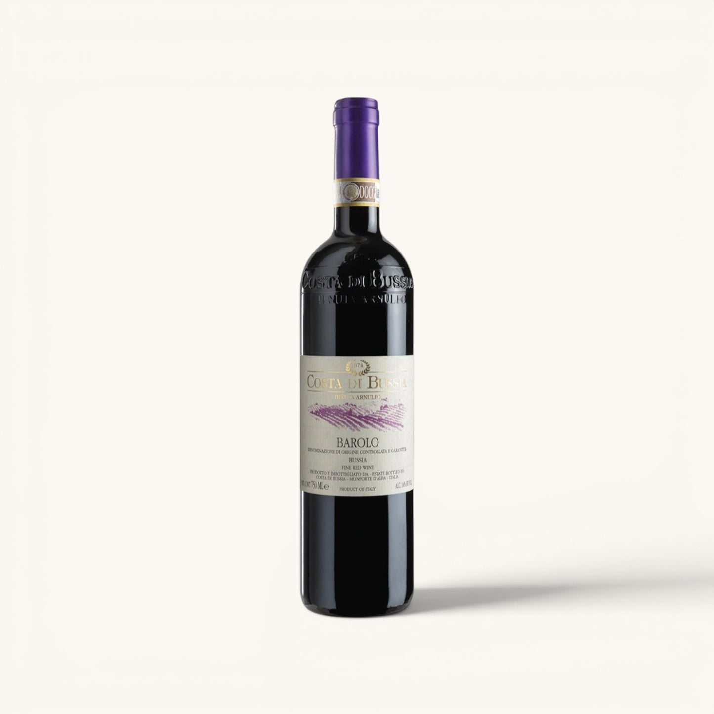 Costa di Bussia Barolo DOCG 2021 SQNPI