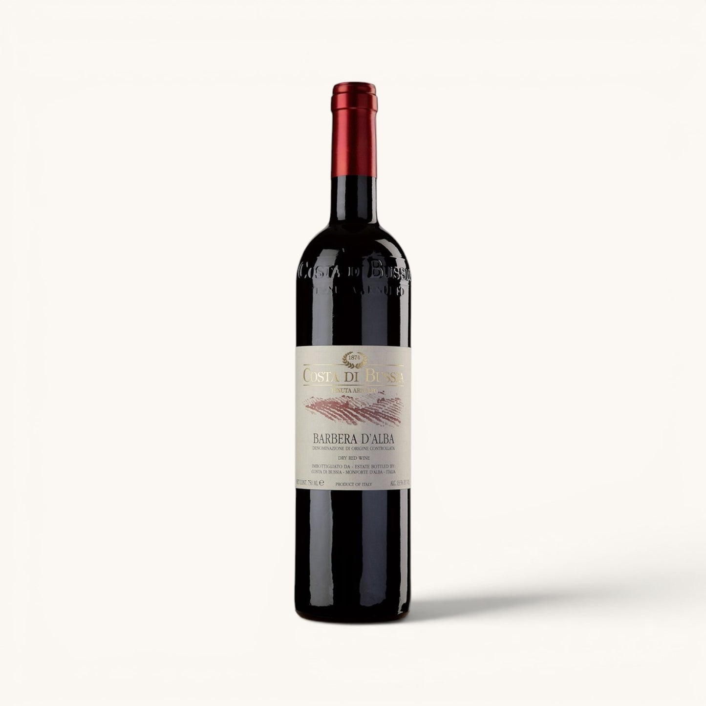 Costa di Bussia Barbera d'Alba DOC 2023 SQNPI
