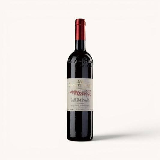Costa di Bussia Barbera d'Alba DOC 2023 SQNPI