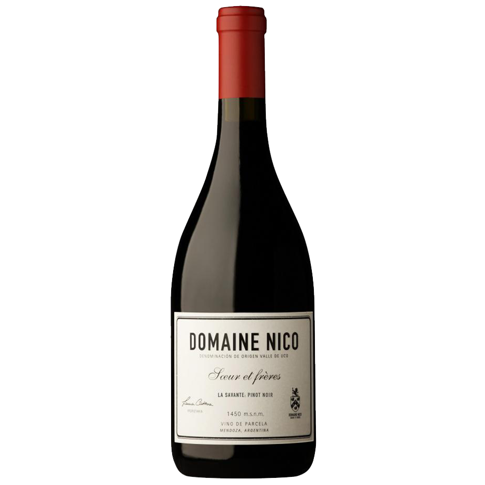 Domaine Nico Pinot Noir 2021 (La Savante)